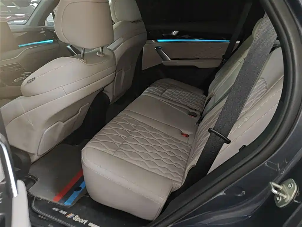 BYD Tang New Energy 2024 DM-i Champion Edition 200KM Premium фото 17