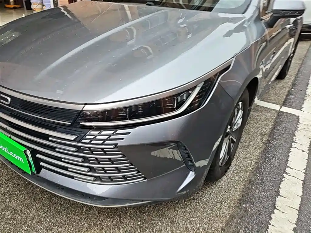 BYD Destroyer 05 2024 Glory Edition DM-i 55KM Luxury фото 24