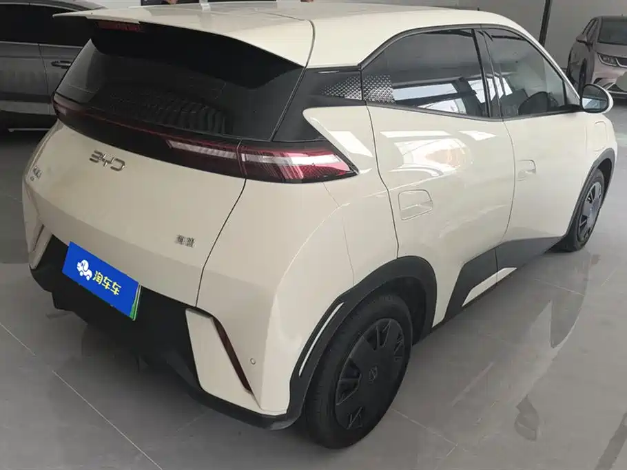 BYD Seagull 2024 Glory Edition 305km Vitality Edition фото 3