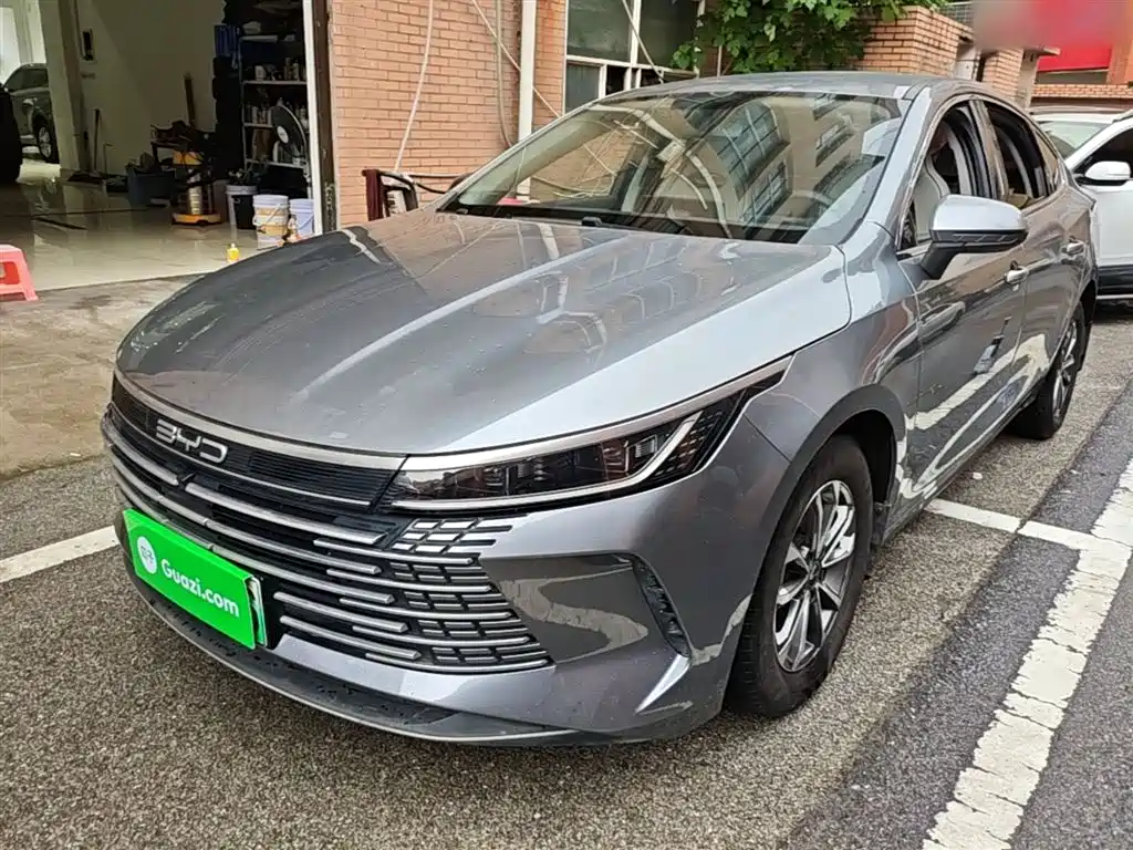 BYD Destroyer 05 2024 Glory Edition DM-i 55KM Luxury фото 2