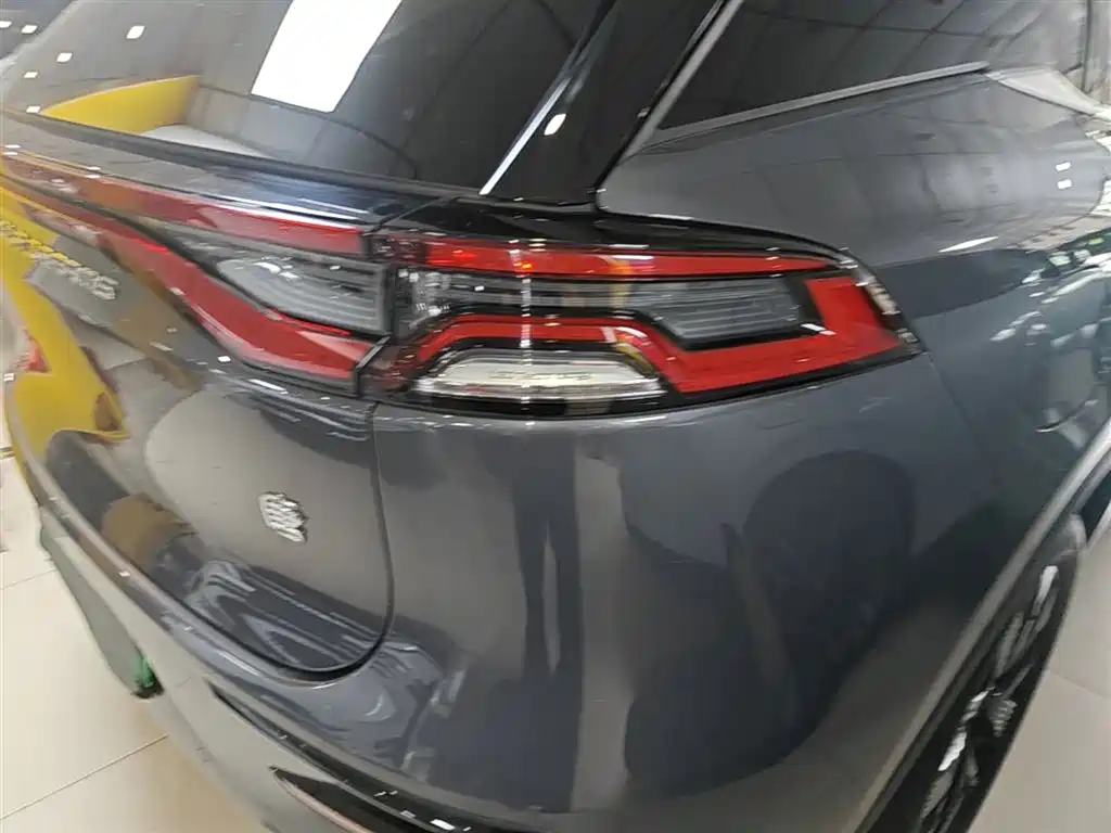BYD Tang New Energy 2024 DM-i Champion Edition 200KM Premium фото 8