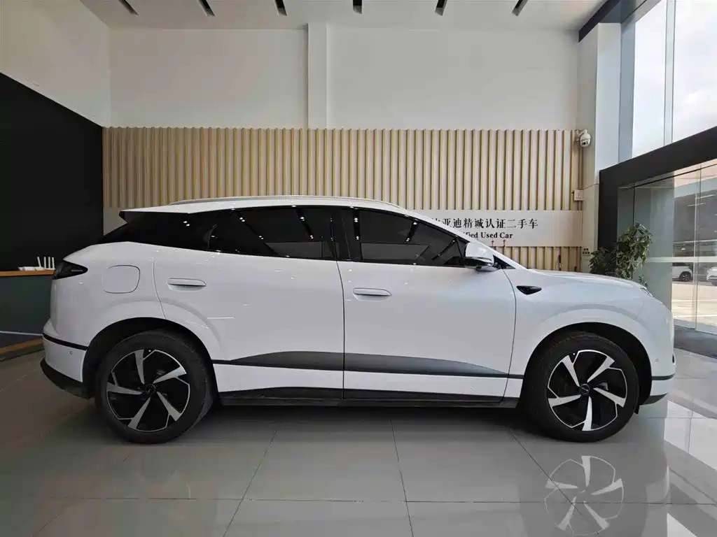 BYD Sealion 06 New Energy 2025 DM-i 170 Pilot Pro Edition фото 4