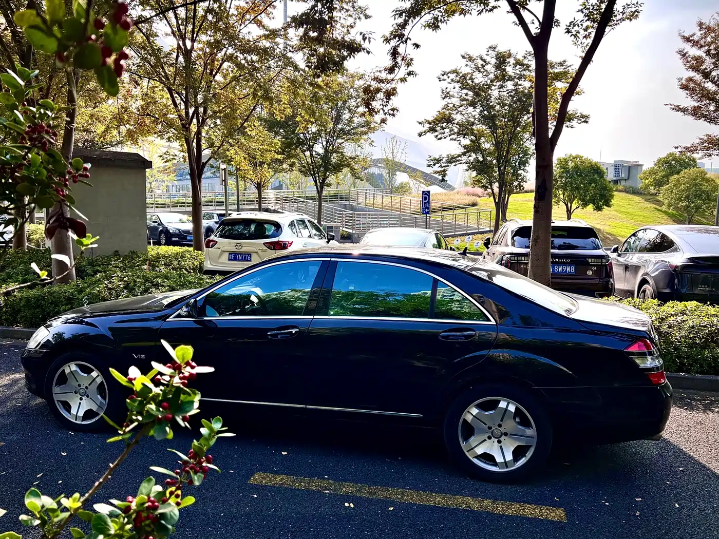 Mercedes-Benz S-Class 2008 Model S 600 L фото 3