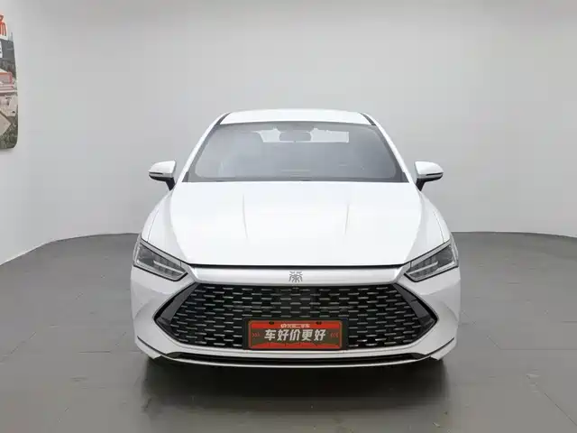 BYD Qin PLUS 2024 Glory Edition DM-i 55KM Leading — фото 3