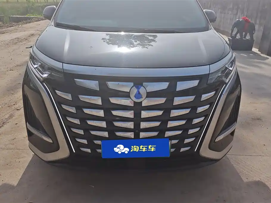 Denza D9 2022 DM-i 970 AWD Flagship фото 2