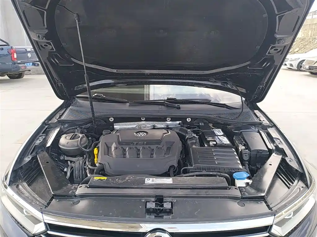 Volkswagen Magotan 2019 330TSI DSG Luxury China V фото 20
