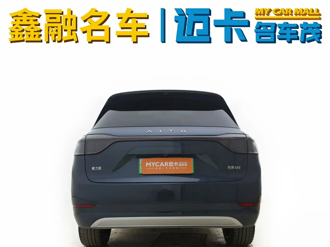 AITO Wenjie AITO M9 2024 Extended Range Ultra 42kWh 6-Seater фото 4