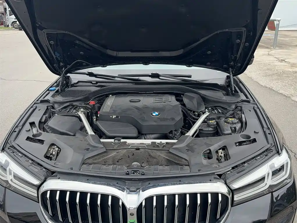 BMW 5 Series 2022 Model Third Facelift 530Li Premium M Sport Package фото 13
