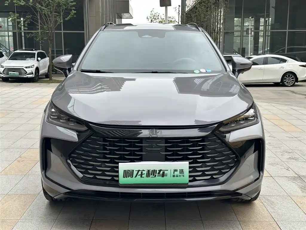 BYD Tang New Energy 2025 DM-i 115KM Prestige Type фото 3