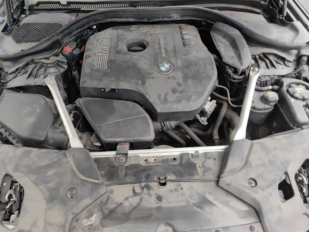 BMW 5 Series 2020 530Li Leading M Sport Package фото 16