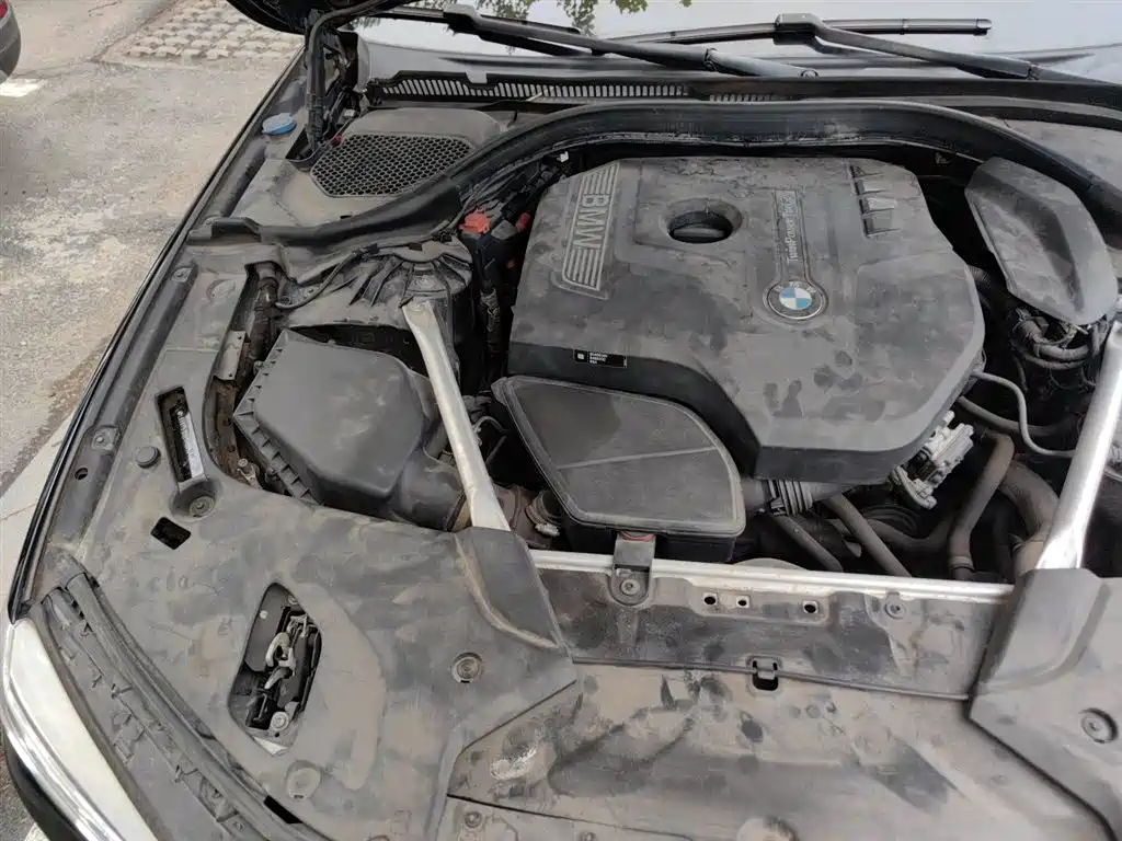 BMW 5 Series 2020 530Li Leading M Sport Package фото 22