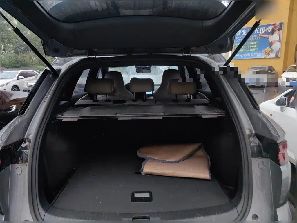 BYD Song Pro New Energy 2024 Glory Edition DM-i 110KM Surpassing фото 15