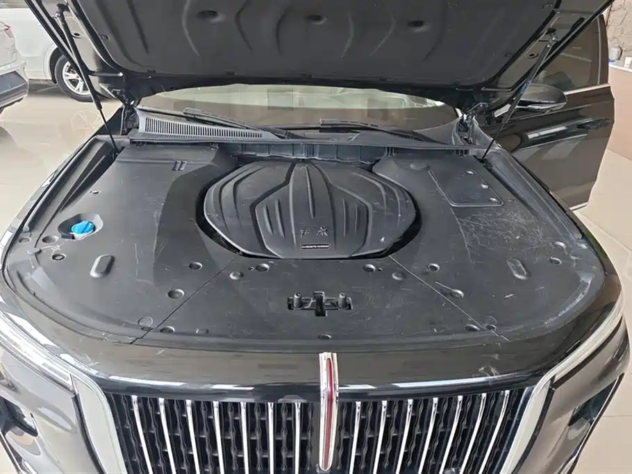 Hongqi H9 2020 2.0T Smart Connection Qi Chang Edition фото 10