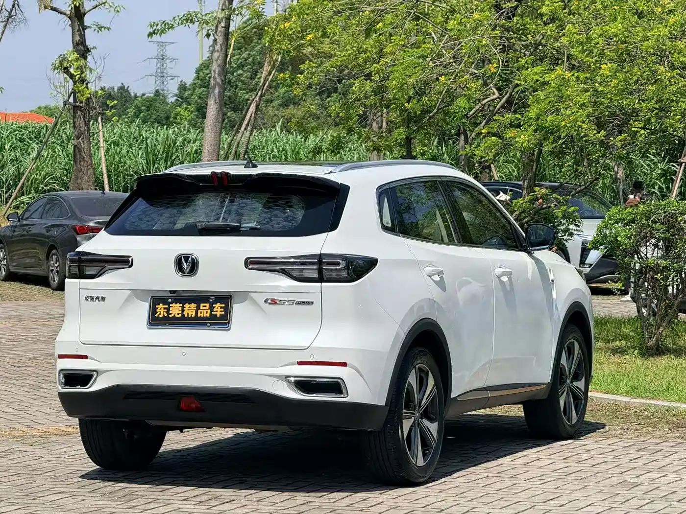 Фото 4 - Changan CS55 PLUS
