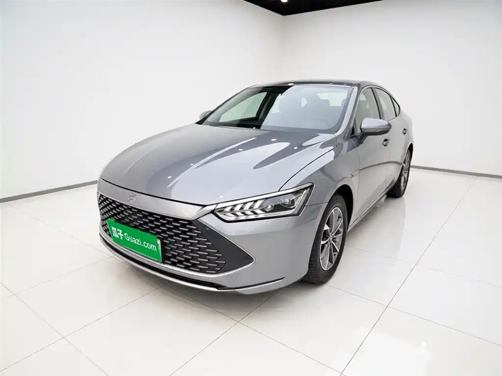 BYD Qin PLUS 2024 Glory Edition DM-i 55KM Leading