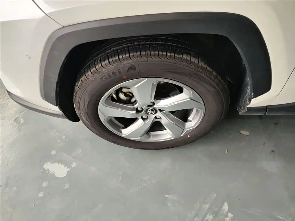 Toyota RAV4 Rongfang 2020 2.0L CVT 2WD Trend Edition фото 23