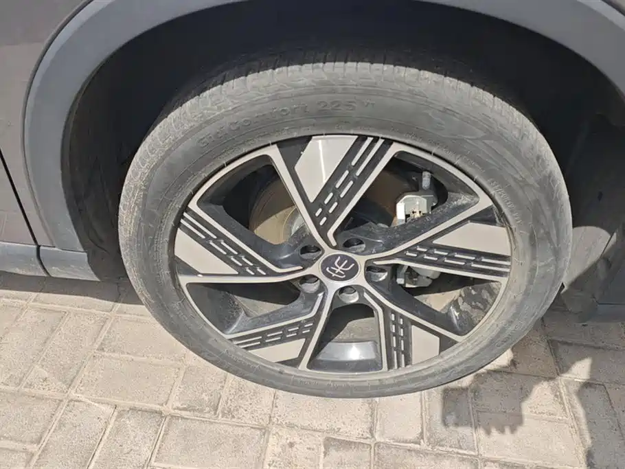 BYD Song Pro New Energy 2023 Champion Edition DM-i 110KM Excellence фото 6