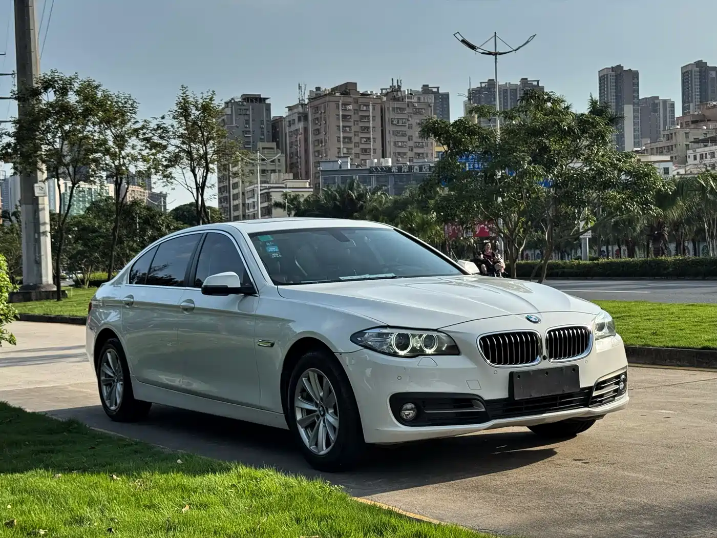 BMW 5 Series 2014 520Li Elegance фото 2