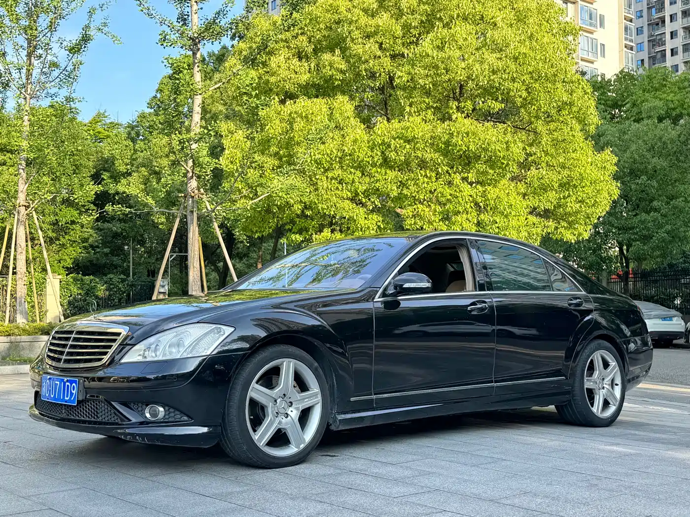 Mercedes-Benz S-Class 2010 S 350 L Luxury фото 2