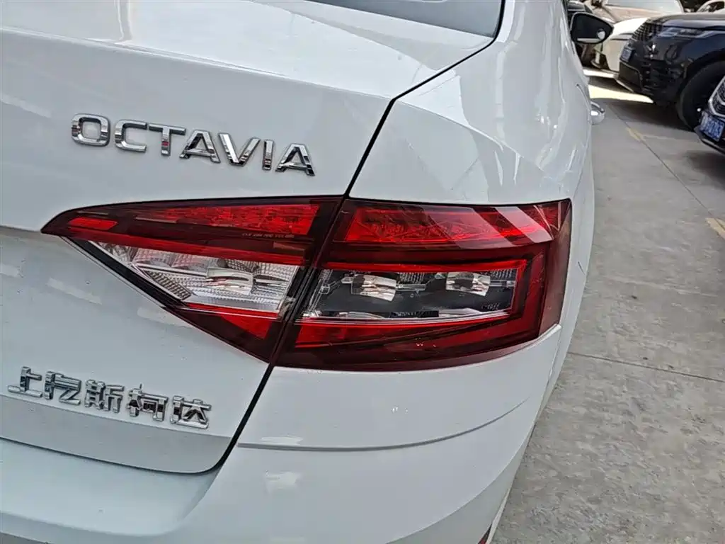 Škoda Octavia 2018 TSI230 DSG Luxury Edition фото 8