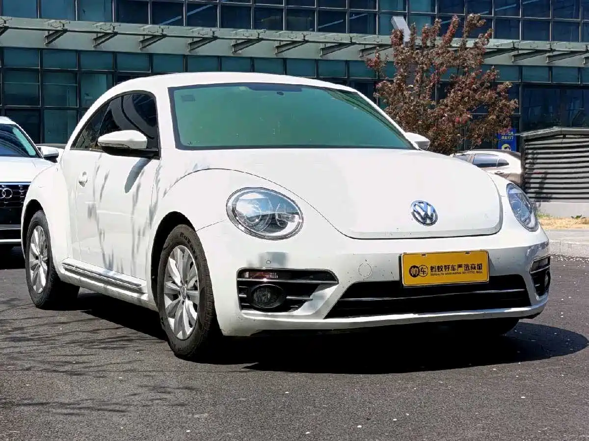 VOLKSWAGEN BEETLE