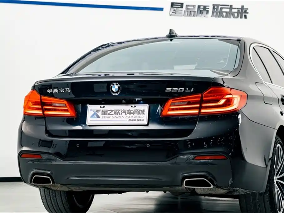 BMW 5 Series 2020 530Li Leading M Sport Package фото 7