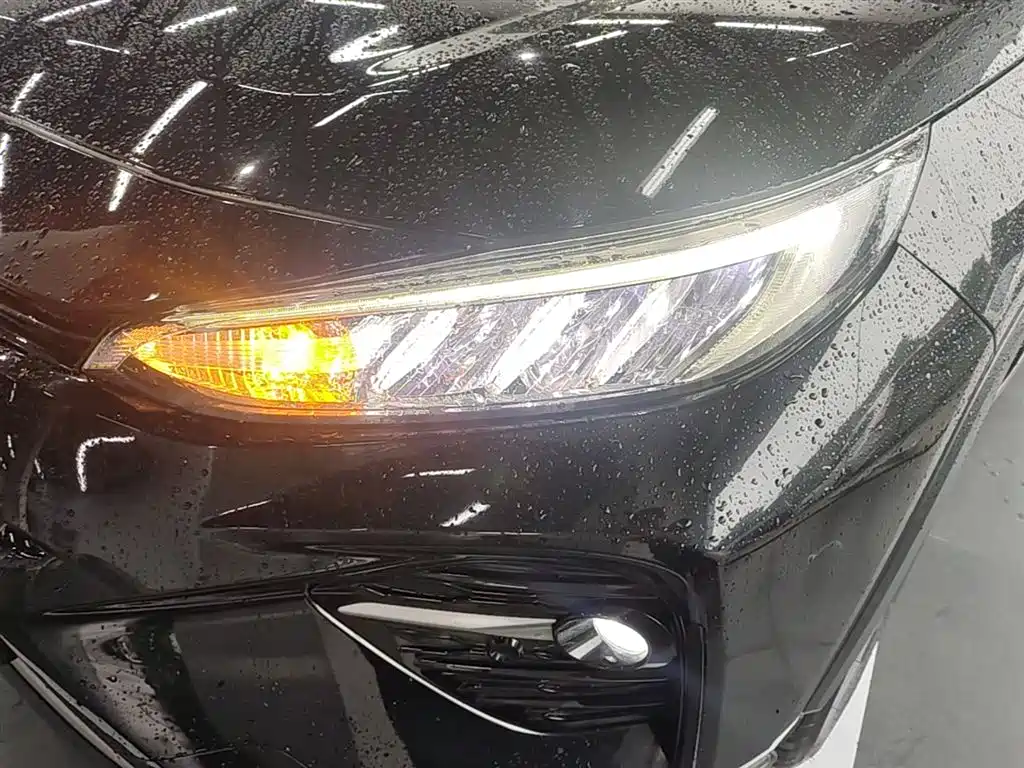 Toyota Wildlander 2020 2.0L CVT AWD Luxury Edition фото 24