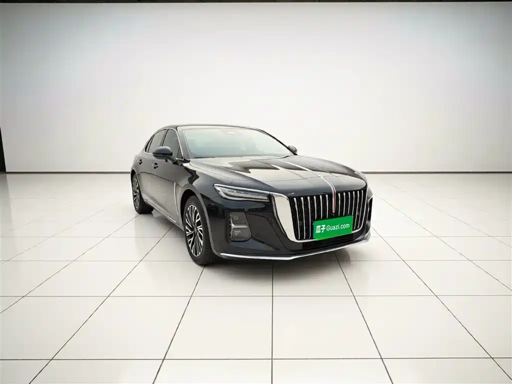 Hongqi H5 2025 2.0T Automatic Flag Celebration 500,000 Units Anniversary Edition фото 4