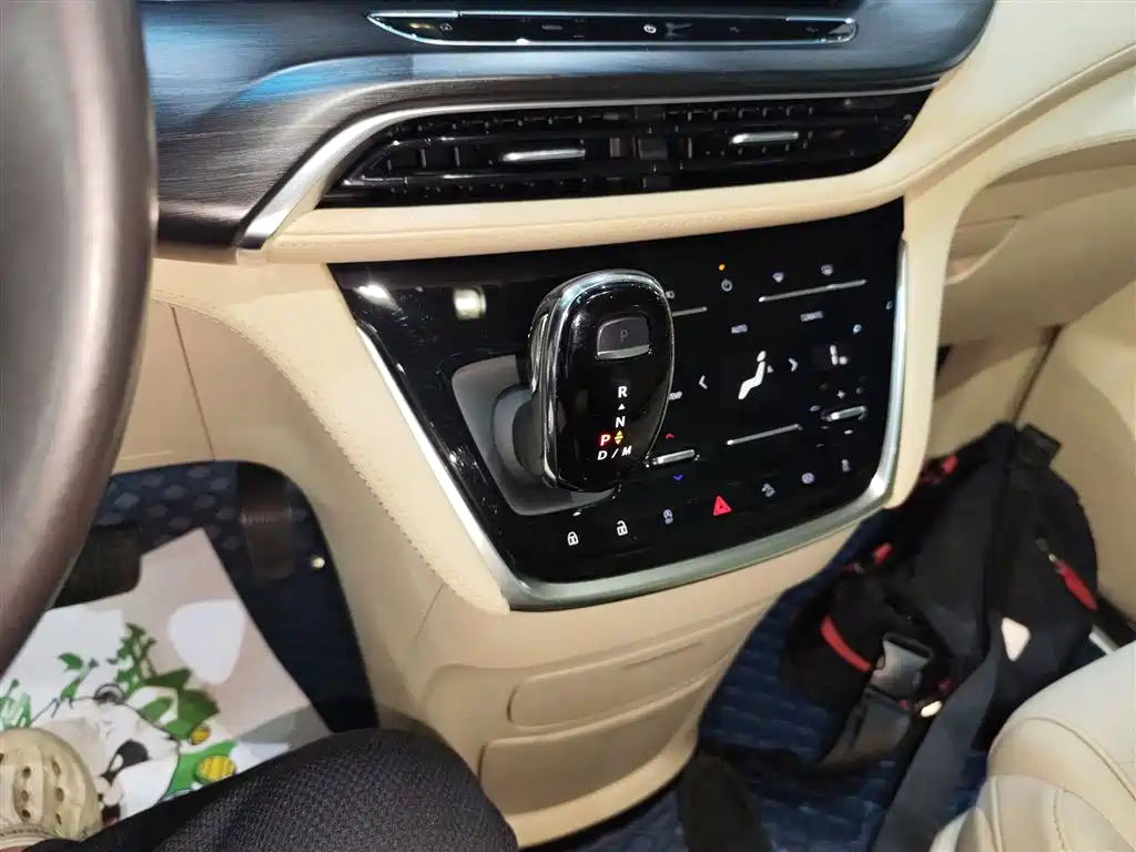 Buick GL8 2022 ES Landmark 653T Premium фото 14