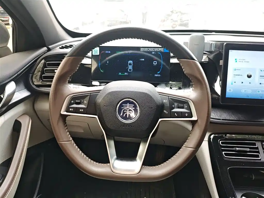 BYD Qin PLUS 2024 Glory Edition DM-i 55KM Leading фото 11
