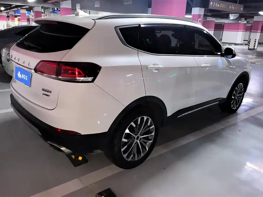 Haval H6 2017 Blue Label 2.0T Auto 2WD Leader фото 3