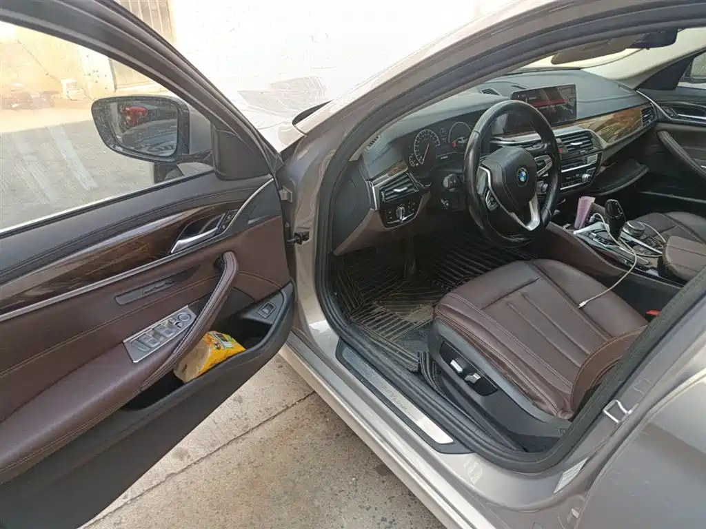 BMW 5 Series 2019 525Li Luxury Package фото 14