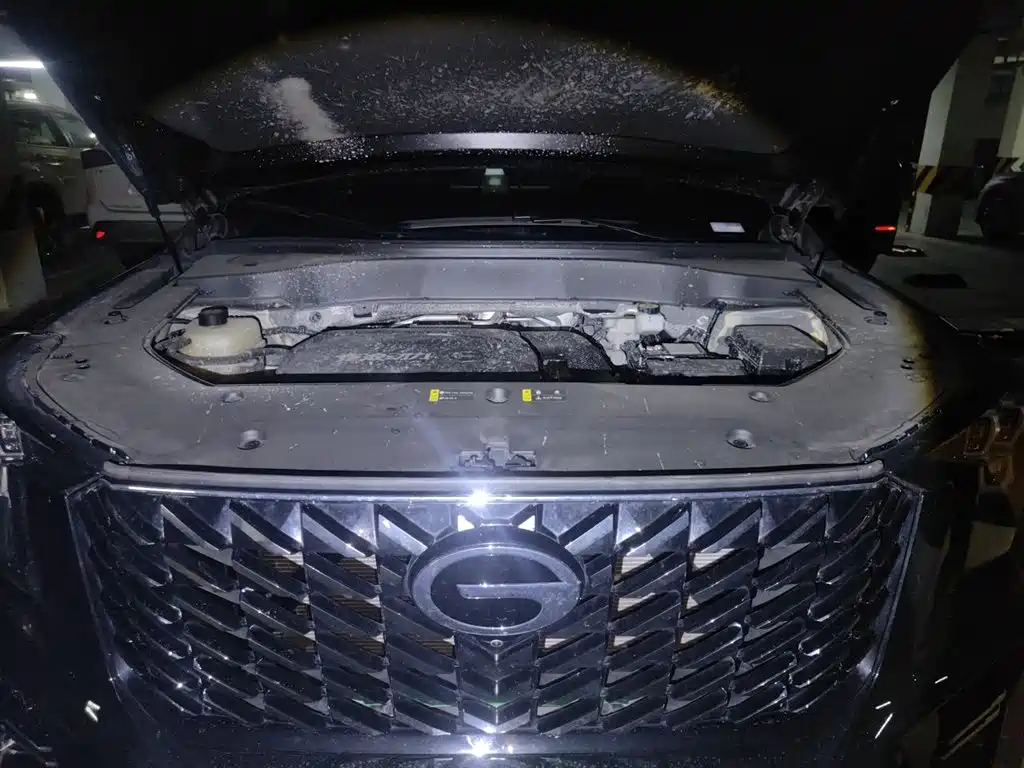 GAC Trumpchi Trumpchi GS8 2024 Navigator Series 2.0TGDI 2WD Luxury Smart Connect Edition фото 16