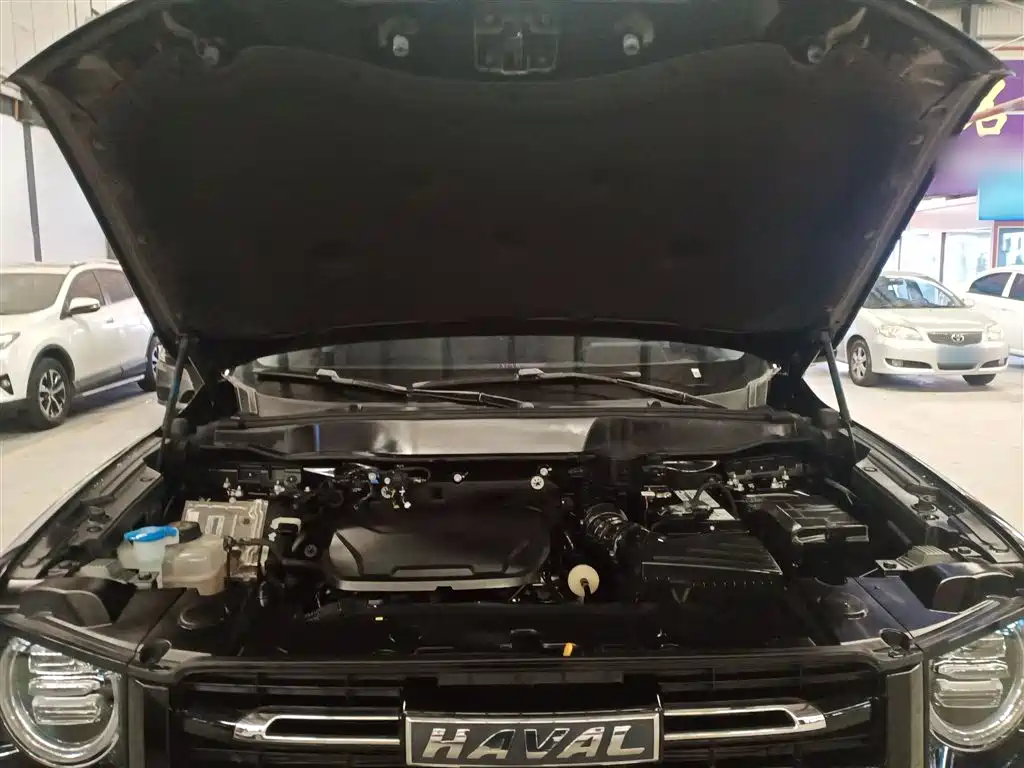 Haval Big Dog 2022 1.5T DCT FWD Border Collie Edition фото 20