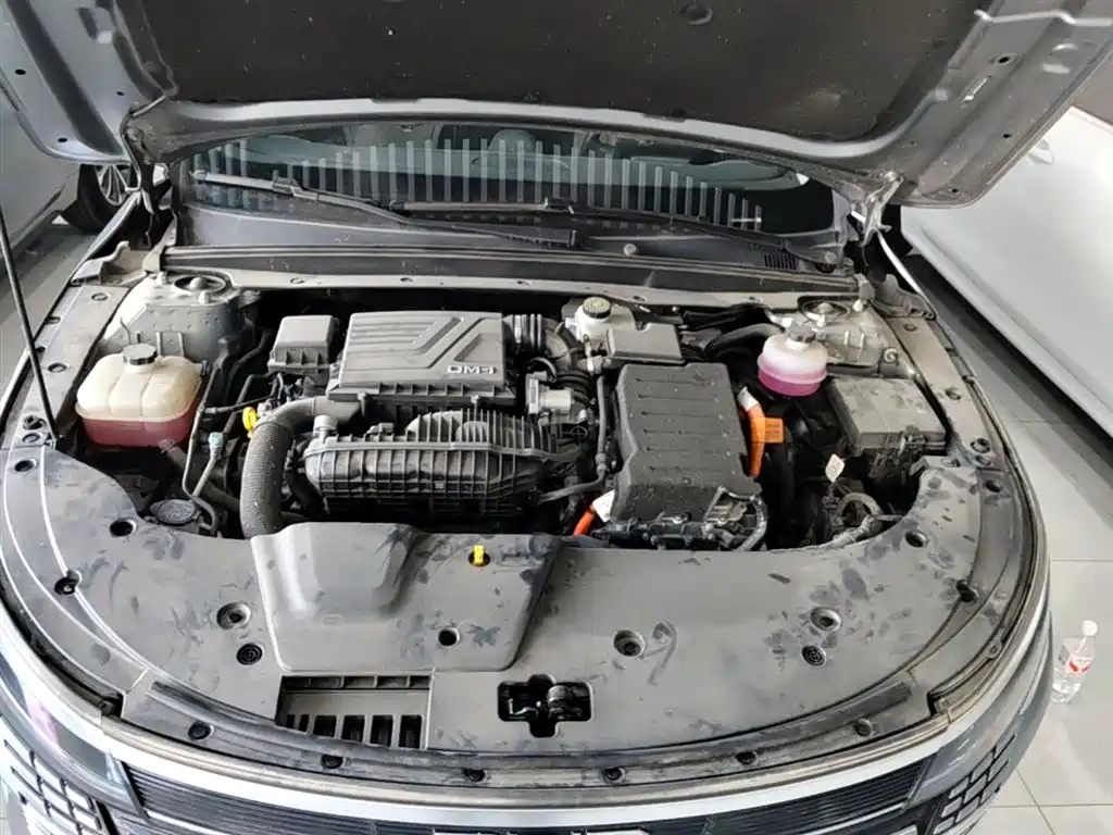 BYD Destroyer 05 2024 DM-i 55KM Pilot Glory Edition фото 20