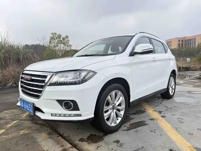 HAVAL H2