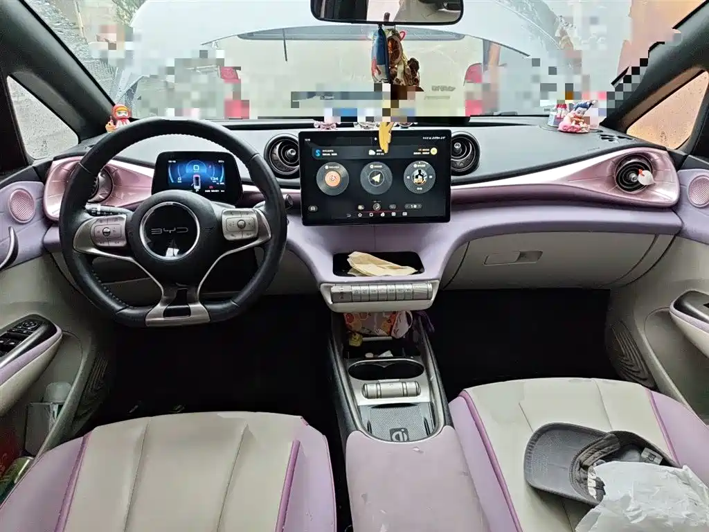 BYD Dolphin 2021 Model 405km Fashion Edition фото 5