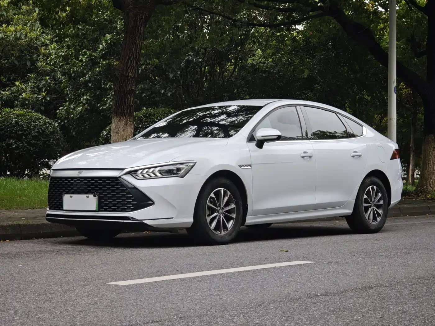BYD Qin PLUS 2024