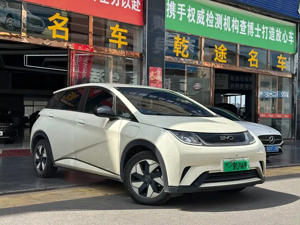 BYD Dolphin 2025 2025 420km Freedom Edition