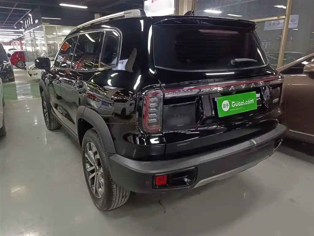 Haval Big Dog 2024 1.5T DCT Border Collie Edition фото 23