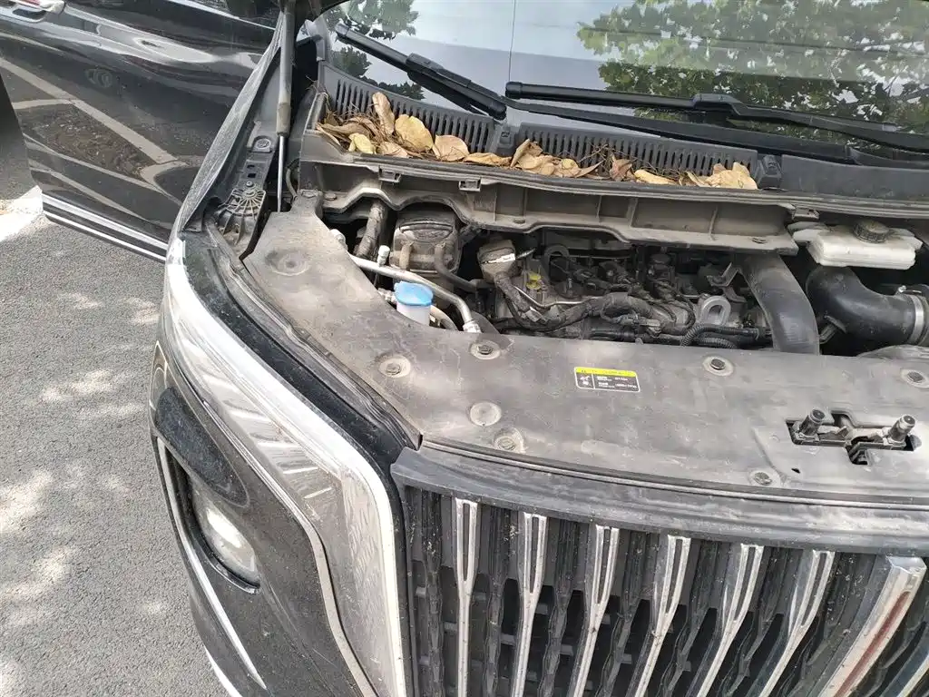 Hongqi HQ9 2023 2.0T Smart Connect Flagship фото 22