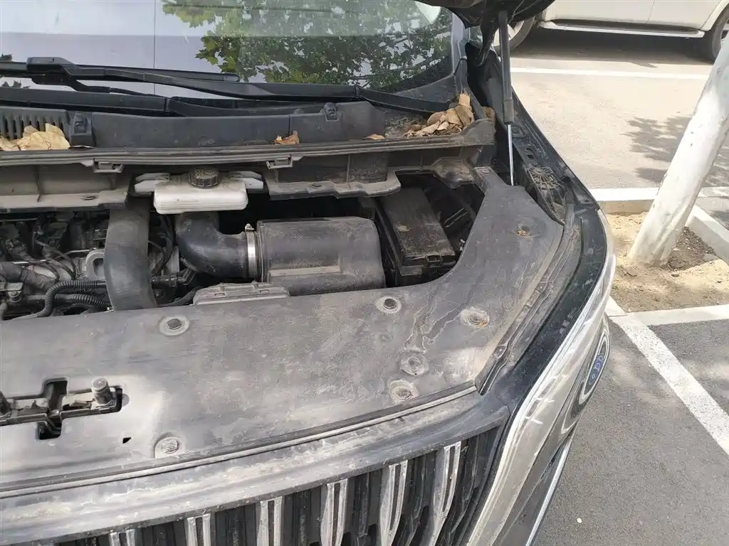 Hongqi HQ9 2023 2.0T Smart Connect Flagship фото 23