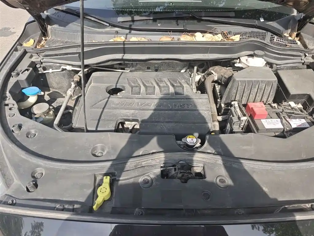 Haval M6 2019 1.5T DCT 2WD Value Edition (China VI) фото 11