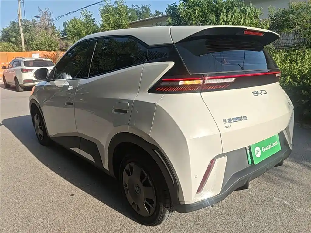 BYD Seagull 2024 Glory Edition 305km Vitality Edition фото 5