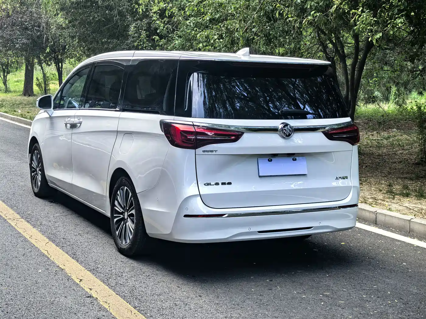 Buick GL8 2021 ES Landlord 653T Luxury фото 19