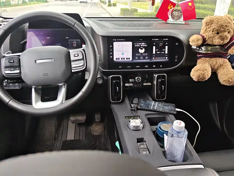 Haval Big Dog 2021 1.5T DCT 2WD Border Collie Edition фото 11