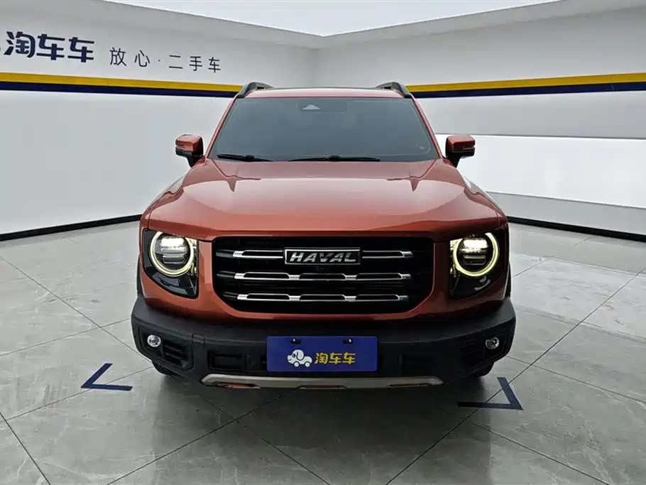 Haval Big Dog 2021 1.5T DCT 2WD Border Collie Edition фото 2
