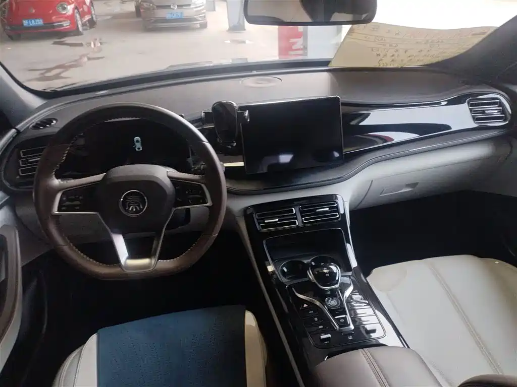 BYD Qin PLUS 2023 Champion Edition DM-i 55KM Leading фото 10
