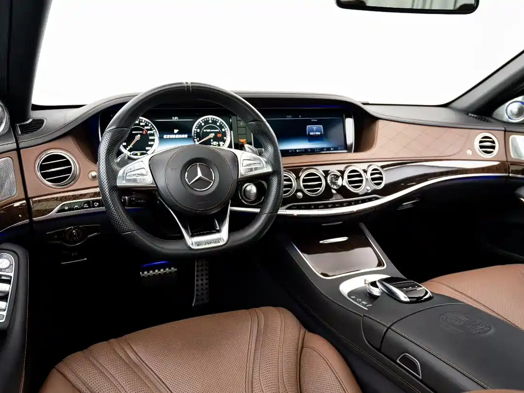Mercedes-Benz S-Class AMG 2014 AMG S 65 L фото 3