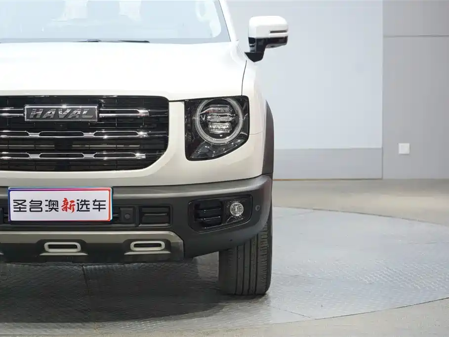 HAVAL BIG DOG
